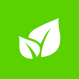 Strategic Plan - Environmental Stewardship